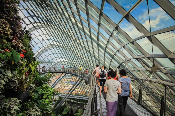 Cloud Forest - Gardens by the Bay