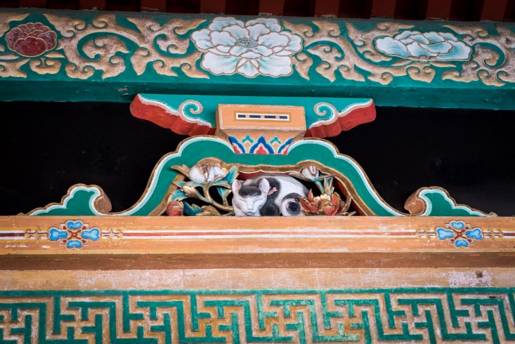 To nie jest zwykły kot. To duch samego Tokugawy – wielkiego i potężnego szoguna, dla którego została wzniesiona cała świątynia.