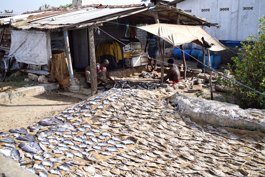 Those who have finished shopping on the market go a little farther where on the jute string mats fishes dry in the sun.