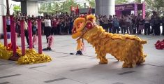 The Lion Dance – dancing into the Lunar New Year