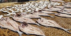 Fish Market in Jaffna, Sri Lanka